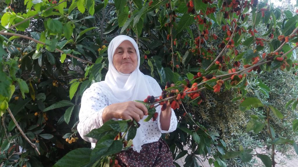 Likya Pansiyon Kaleucagız Exteriör bild