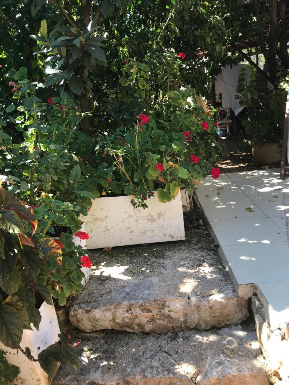 Likya Pansiyon Kaleucagız Exteriör bild
